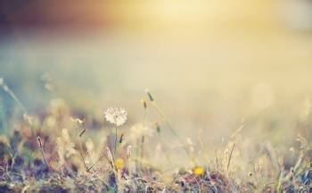 高冷古风游戏名字女_徘徊人世间