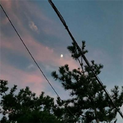 魔域CP情侣名字一对