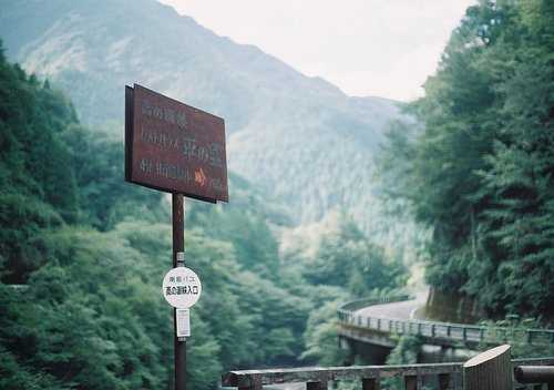 荒野求生好听的游戏名字