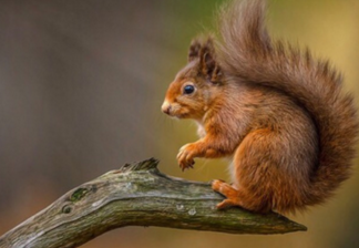 微信名字大全男两个字2021最新版