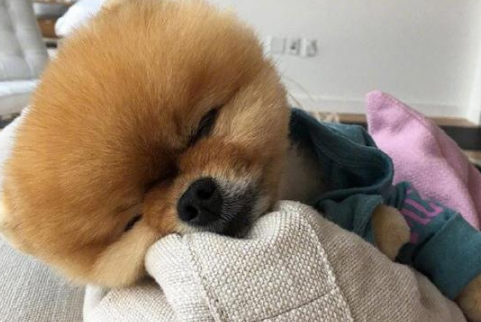 逆战好听的名字--白纱薄透我君心