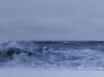 一看就是cp的名字