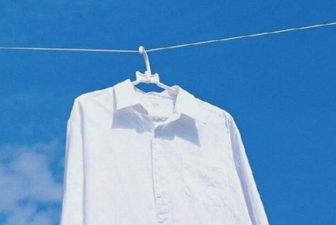 净化心灵的微信名字合集、砂糖橘