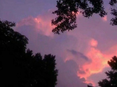 气质好听的虎牙名字个性_ゝ愛很甜、没有毒&d