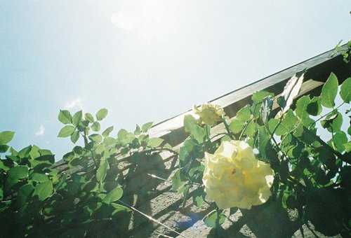 男网名成熟简洁字推荐