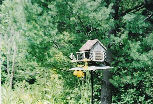 QQ名字2021最好听