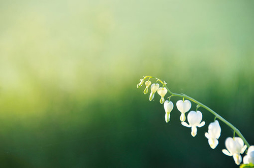 2022最新情侣网名大全--暖言