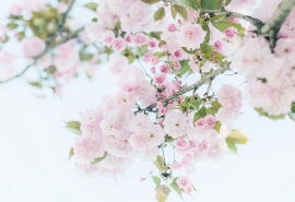 有特色的英文网名2021