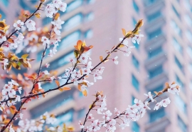 300英雄男生游戏名字