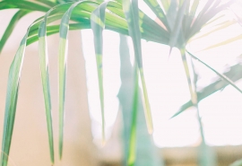 看起来很舒心的网名好听_自由散漫放荡