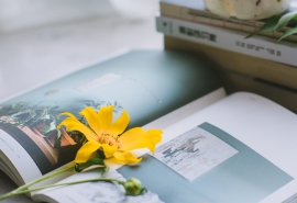 极无双名字大全