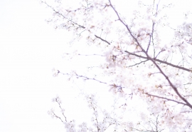 好运的网名_蓝花格、伞