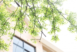 2022比较火的六个字网名推荐:你是我的温柔--异性&mdash;&