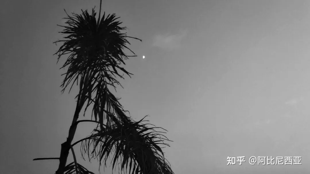 吃鸡ID搞笑名字大全2023