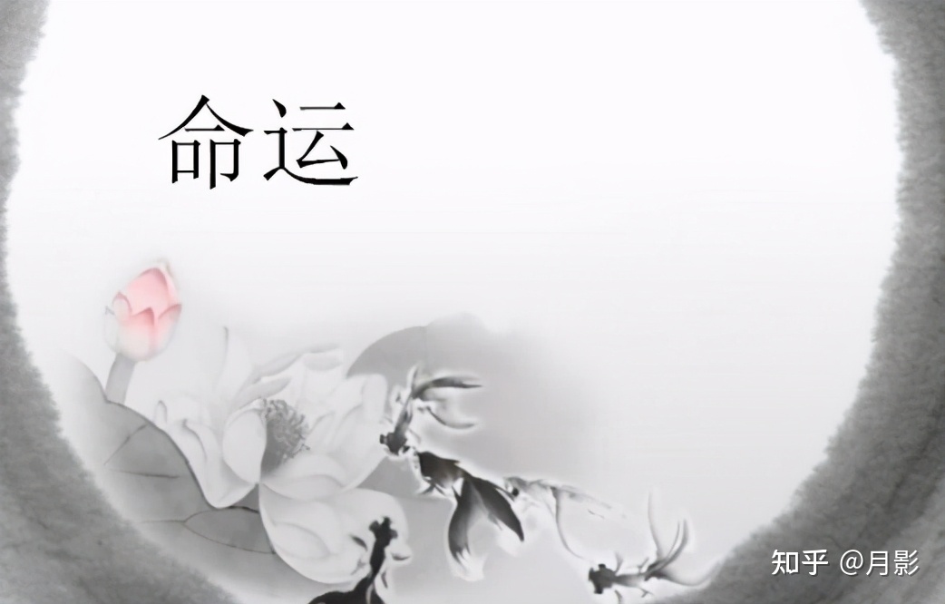 霸气网名昵称汇总、坟墓里的我|坟墓里的