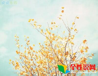 情人节的说说和配图