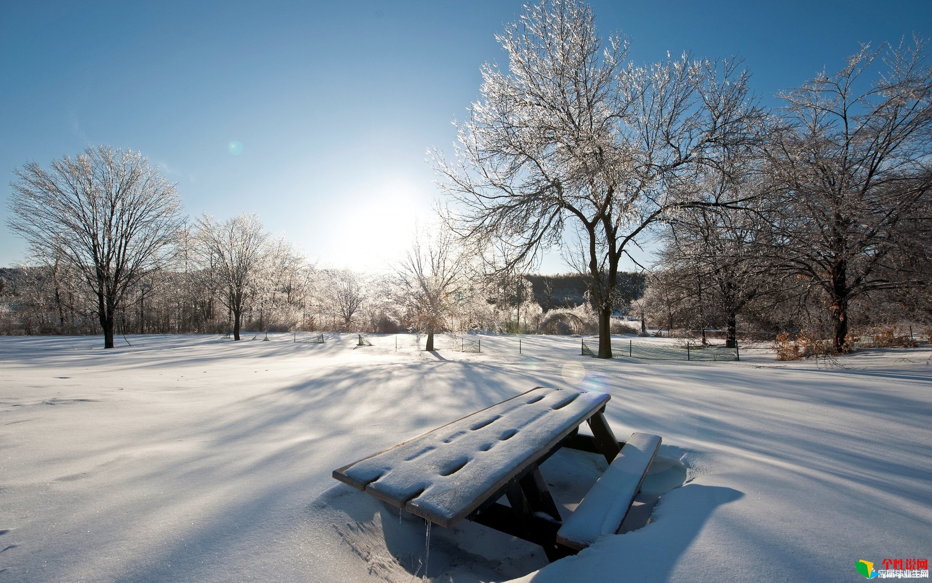 女生节简单说说