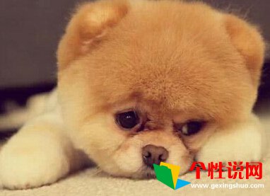 春分节气美好祝福、把窗户打开，迎来清新