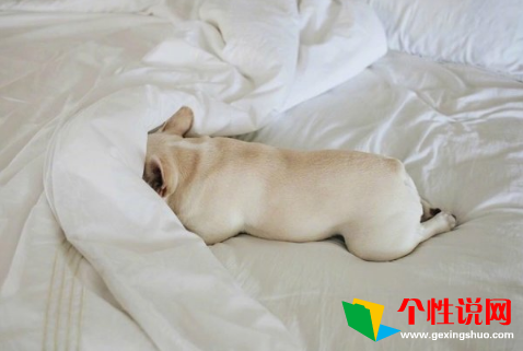 春分的祝福句子