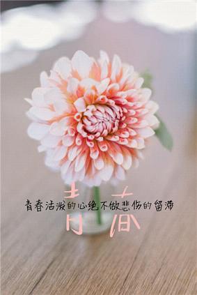 元宵节给园长祝福语_祝心想事成，心如所愿