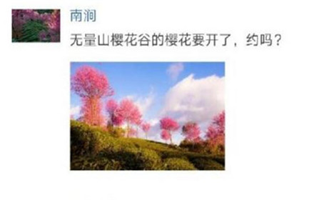 腊八节买鸡的说说