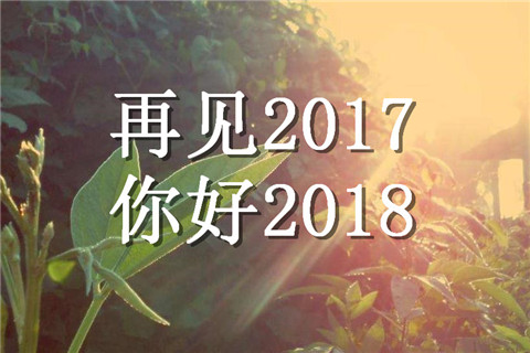 2022春分节气到了的创意文案句子、春分时节春光好，春花