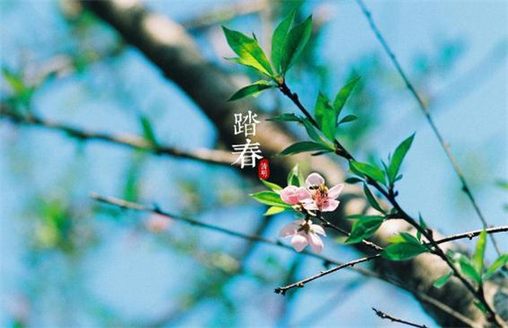 关于小年的朋友圈祝福语大全