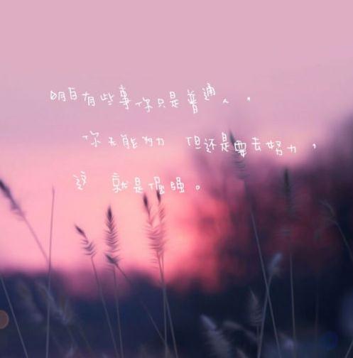 除夕吃年夜饭的祝福语文案句子 把生活酿成酒浆，用快