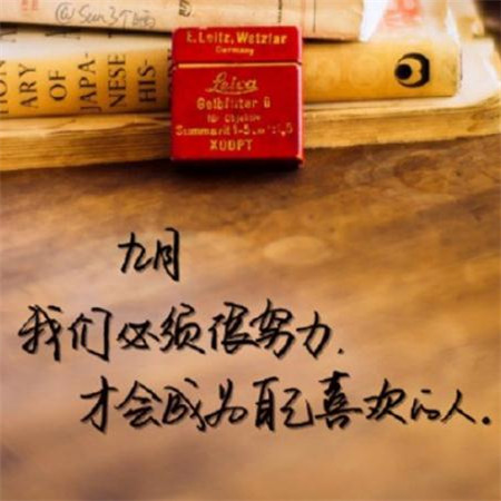 立春折梅行小说说的是什么