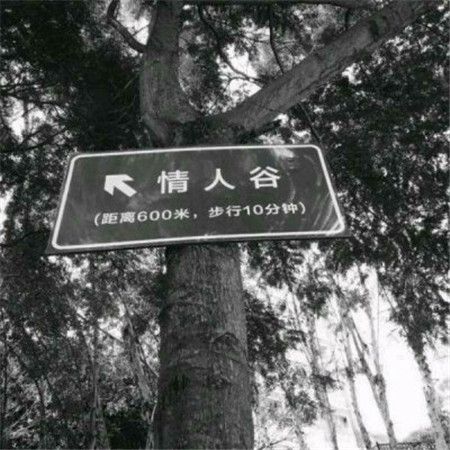 七夕情人节怀孕说说 **路上看到一对父母