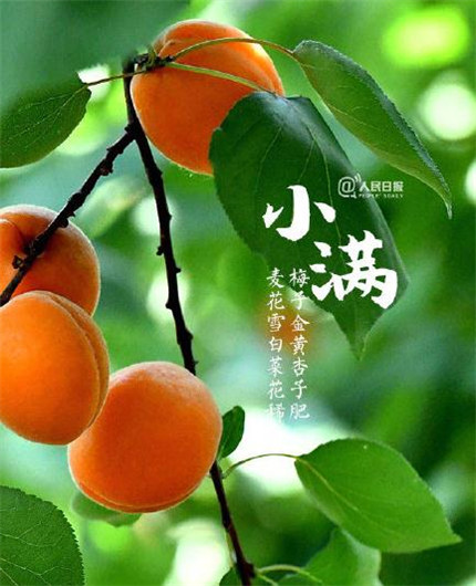 愚人节连个骗我的人都没有说说