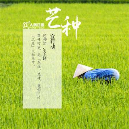 二月二龙抬头给孩子理发的说说