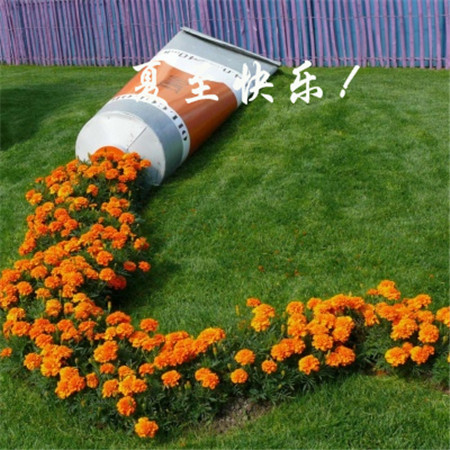 惊蛰到的说说_惊蛰时节暖和和，青蛙