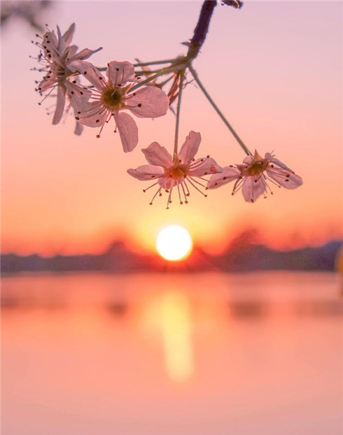 清明节的说说100