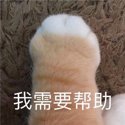 情人节租个情人的说说