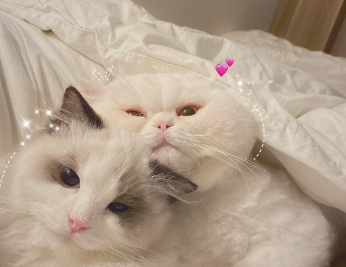 有趣好玩的愚人节说说