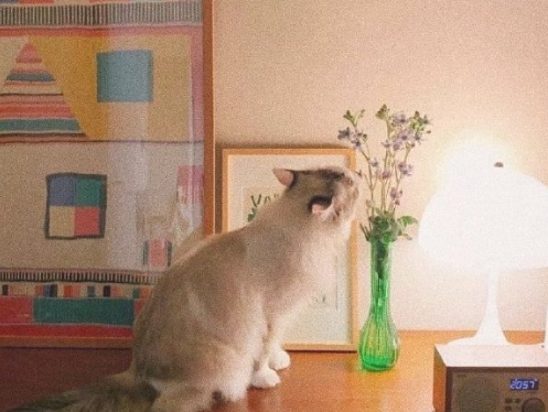 美国复活节需要祝福吗