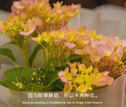 春节遭疫情搞笑说说