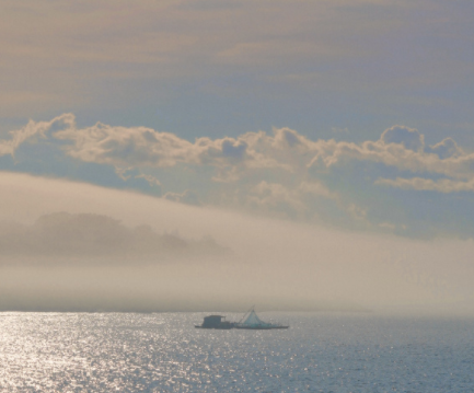 今天清明节发的说说--又是一年清明时节，离