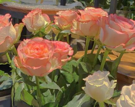 除夕夜不快乐的说说