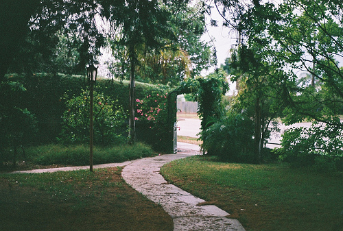 谷雨图片唯美祝福 赶潮流来堵鱼头，家鱼