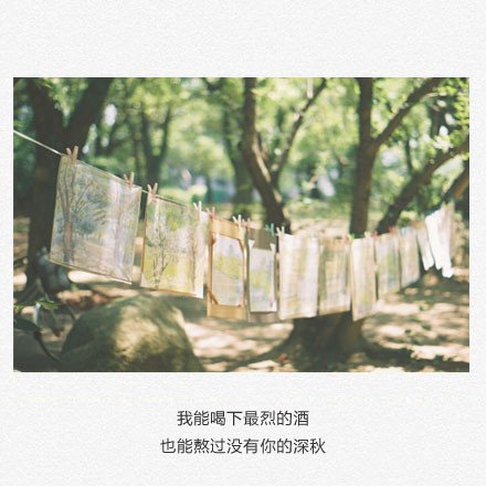 愚人节讨红包的说说