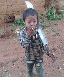 女生节祝福语外国语学院、你用执着书写梦想的日