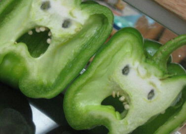 超适合发说说的唯美小句子值得收藏_这是我一生中最勇敢的