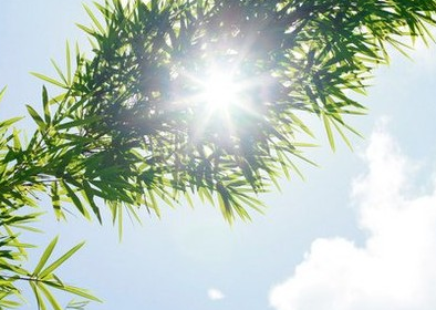 大寒遇腊八节说说 腊八节祝福语简短的一句话