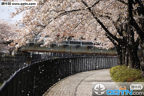 情侣间相互告白的小情话超温暖_七想起你的好，想起你