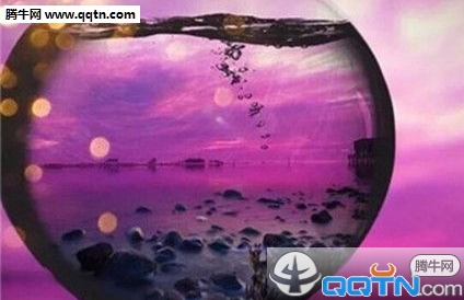 立春图片说说 让春天留在家里，让城