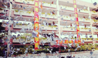 关于清明节上坟的四字说说 清明时节要踏青，赏花