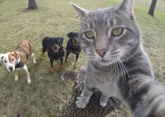 小年喝迷糊了说说