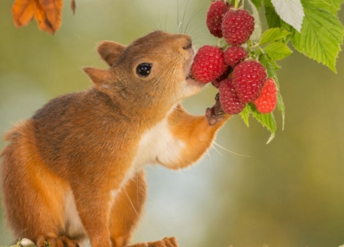 女生节两句祝福明信片